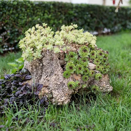 With Parking Space Palit, Rab - 4970 Lejlighed *